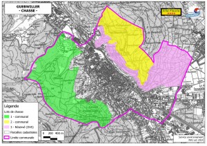 répartition des lots de chasse pour Guebwiller. 3 lots