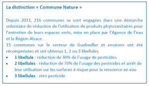 distinction libellule