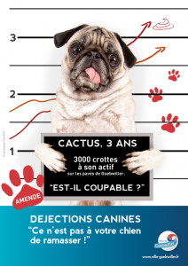 2015-06-affiche-dejections-cactus