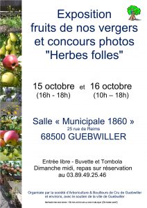 2016-9-expo-herbes-folles-fruits