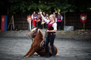 Démonstration de dressage de poney par un membre de la troupe Quendor, en prestation à Guebwiller le 30 juillet. 