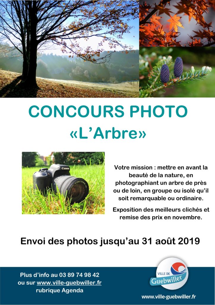 [Concours photo] L'Arbre Guebwiller
